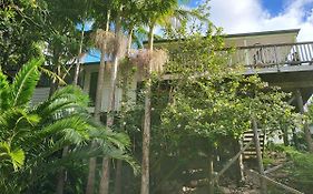 Hatea Treehouse